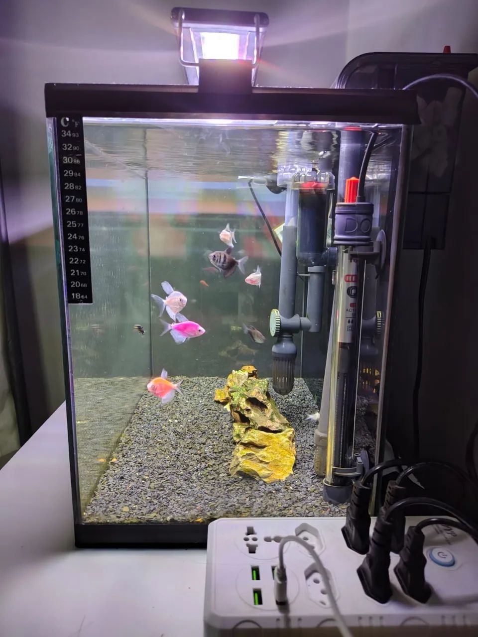 Aquário de 50 litros com itens - Foto 2