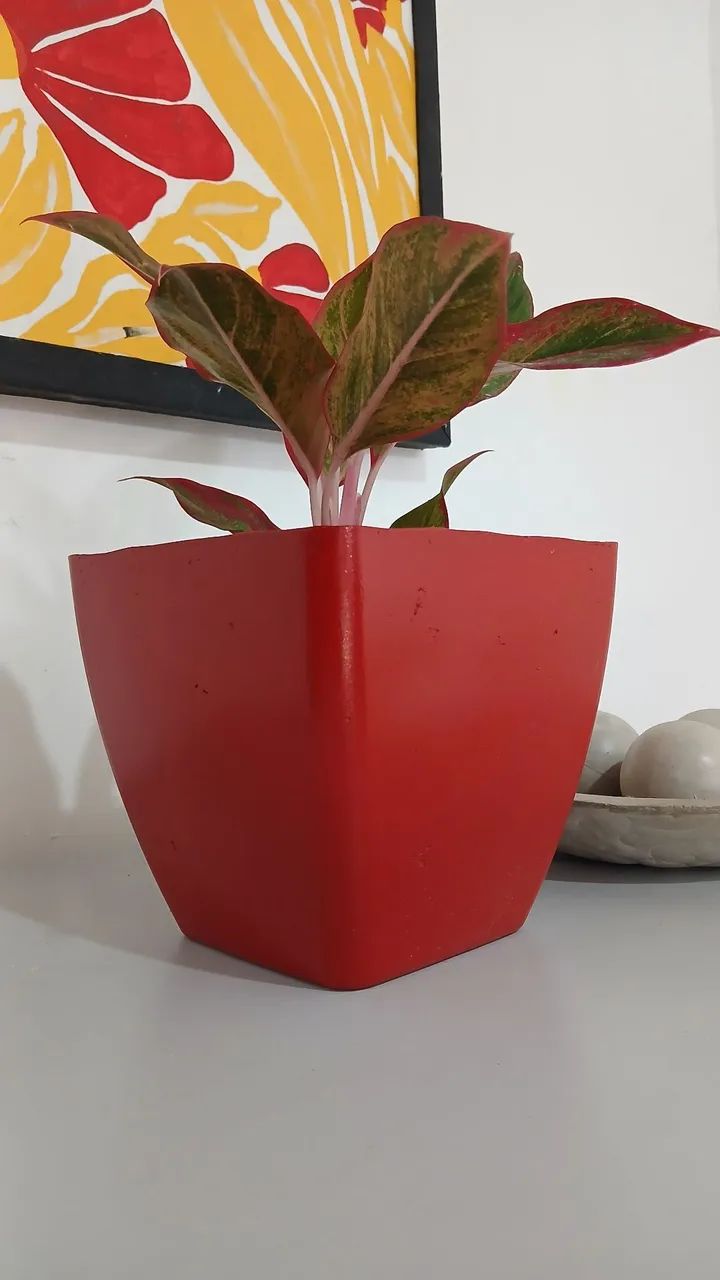 Vaso Quadrangular de Concreto
