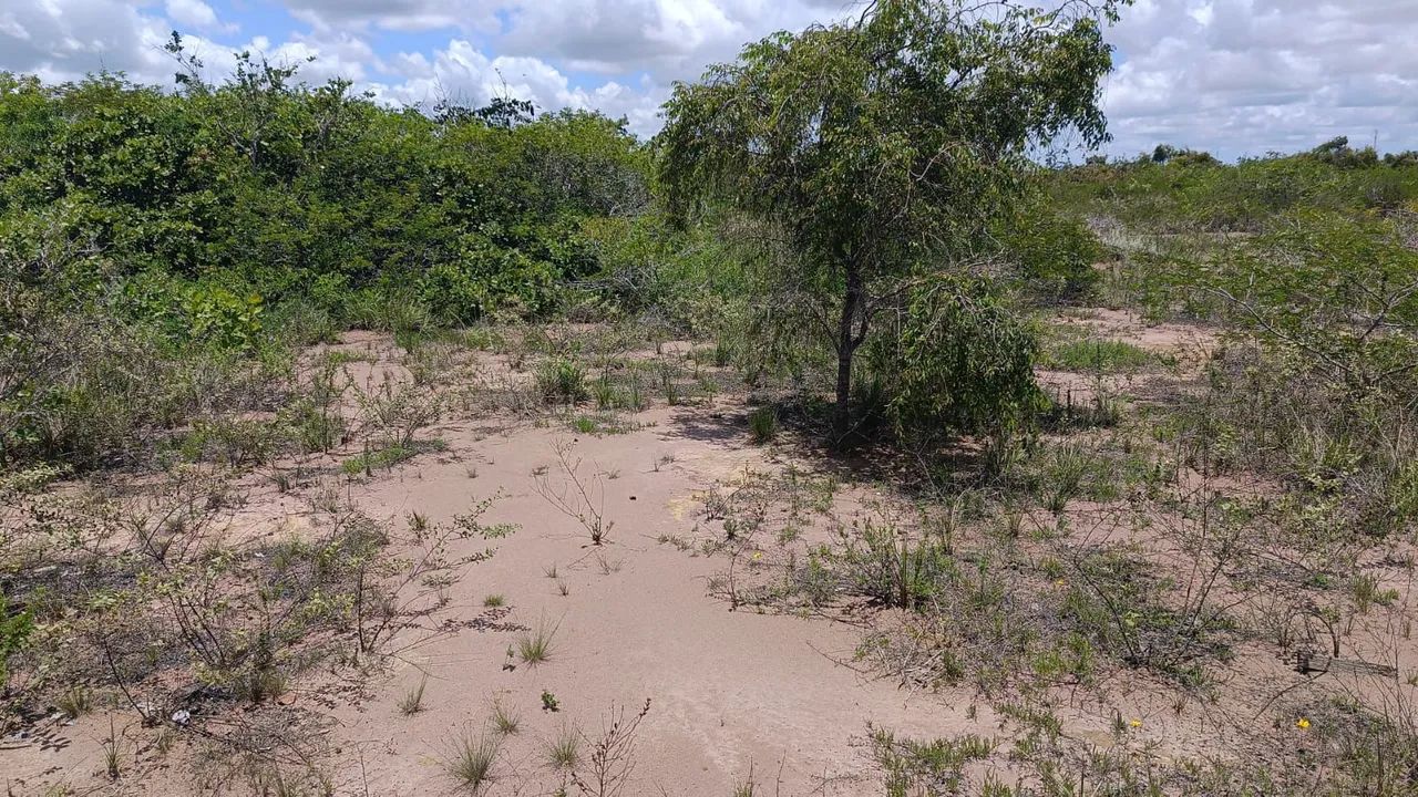 Terreno 2.000m² em Pureza.