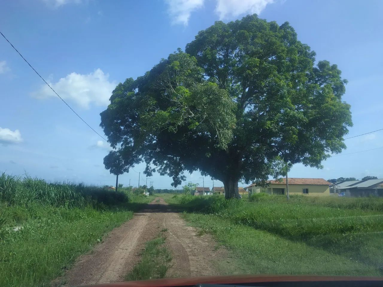 Terrenos lotes São Francisco do Pará 