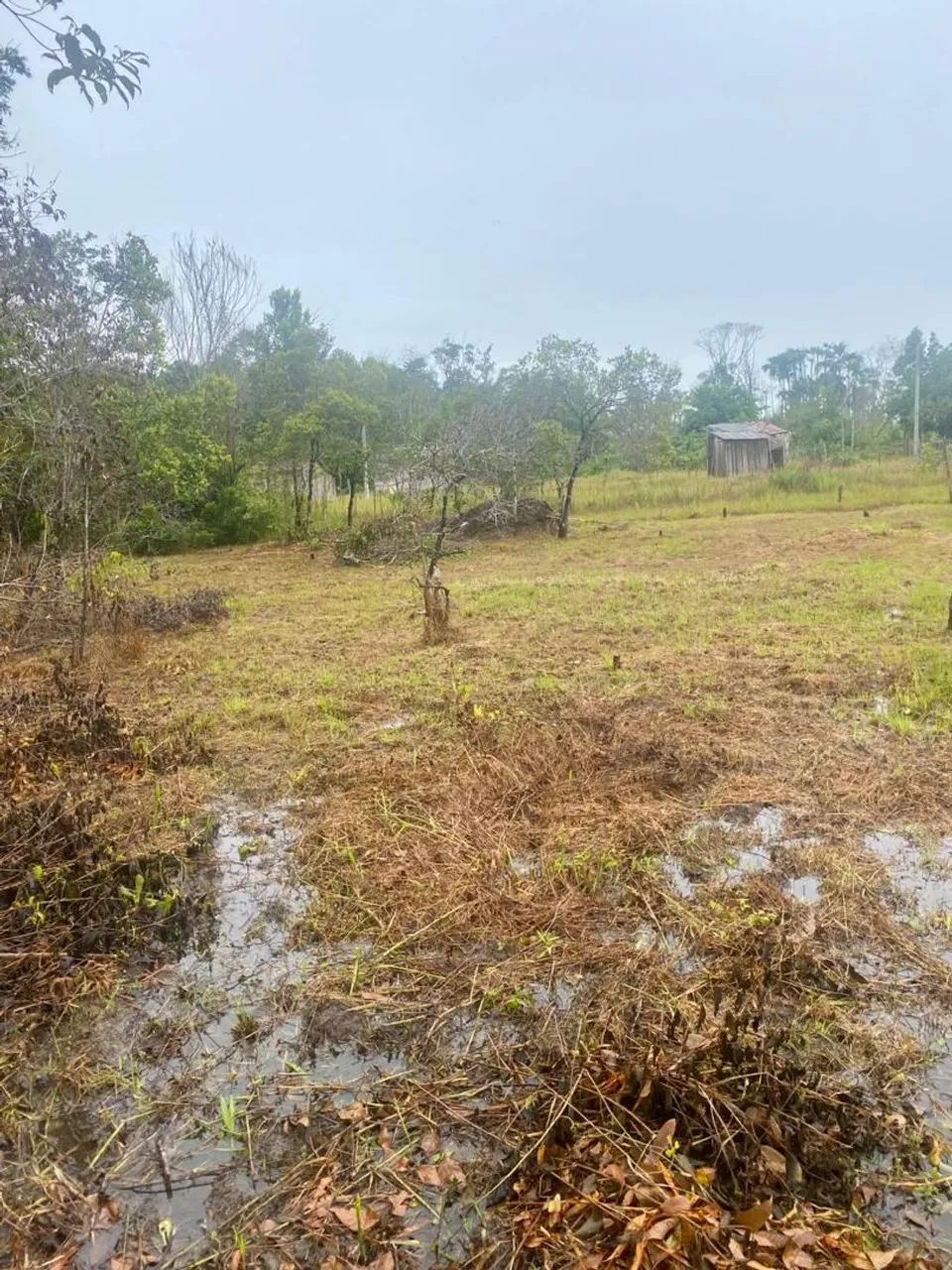 Terreno em mosqueiro INVESTIMENTO - Foto 2