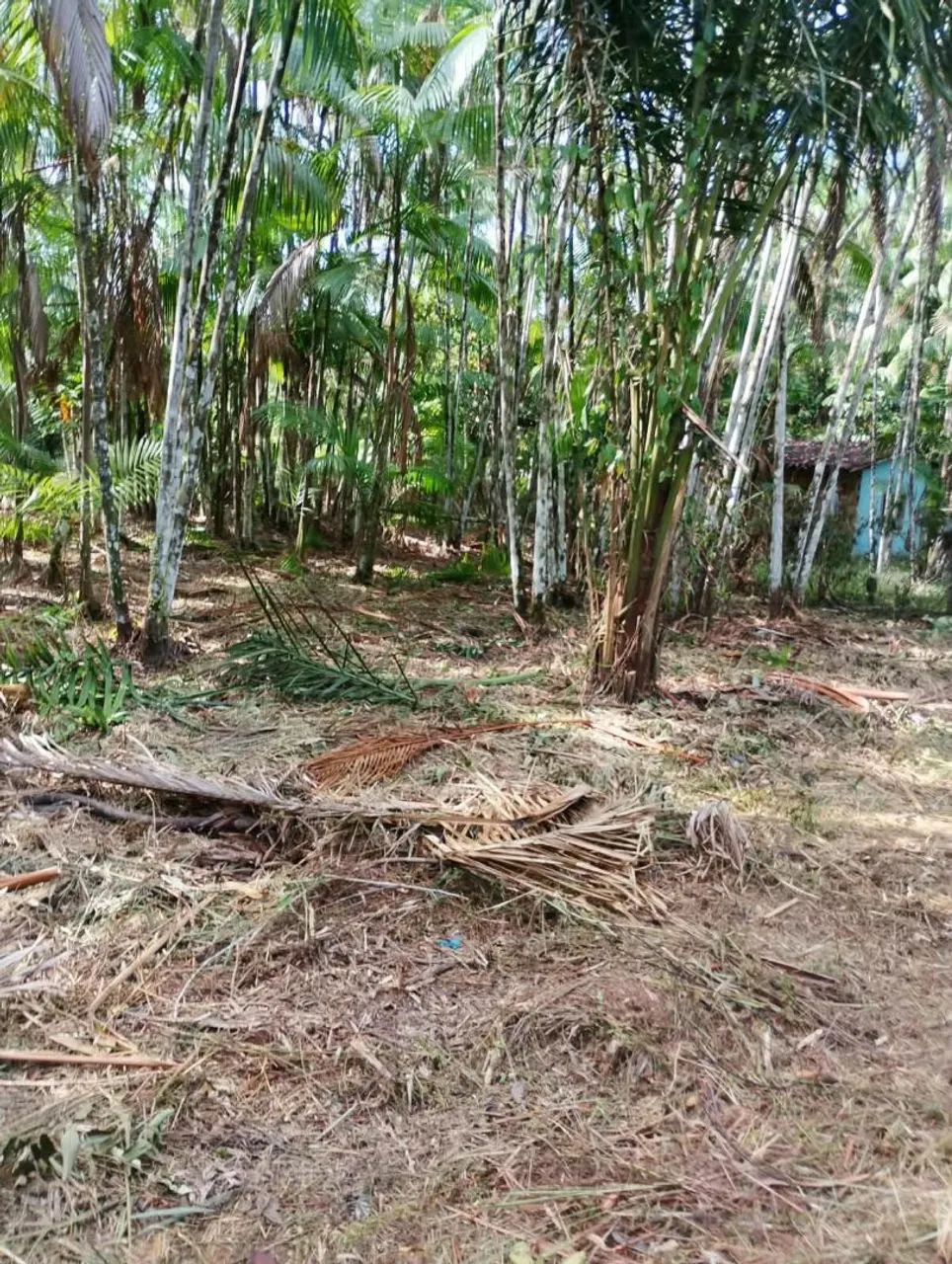 Terreno em Abaetetuba 20x36mt - Foto 3