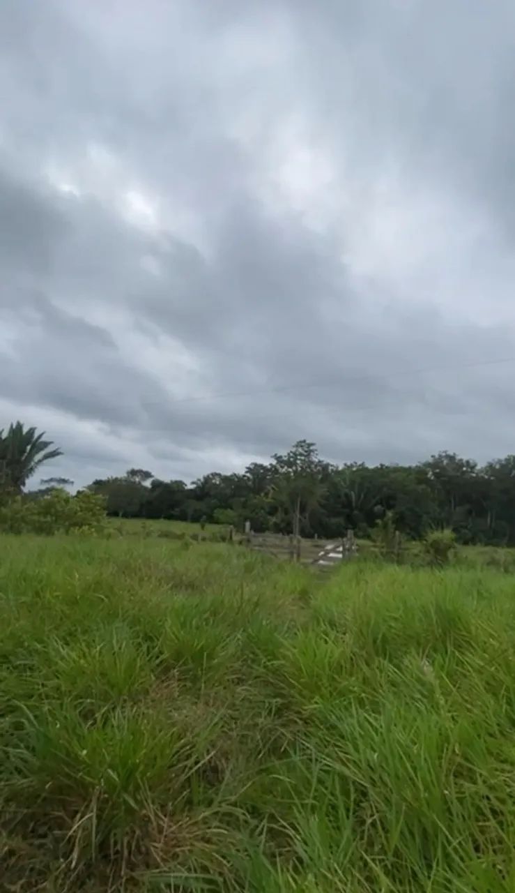 Sítio a 26 km de Porto Velho - Foto 5