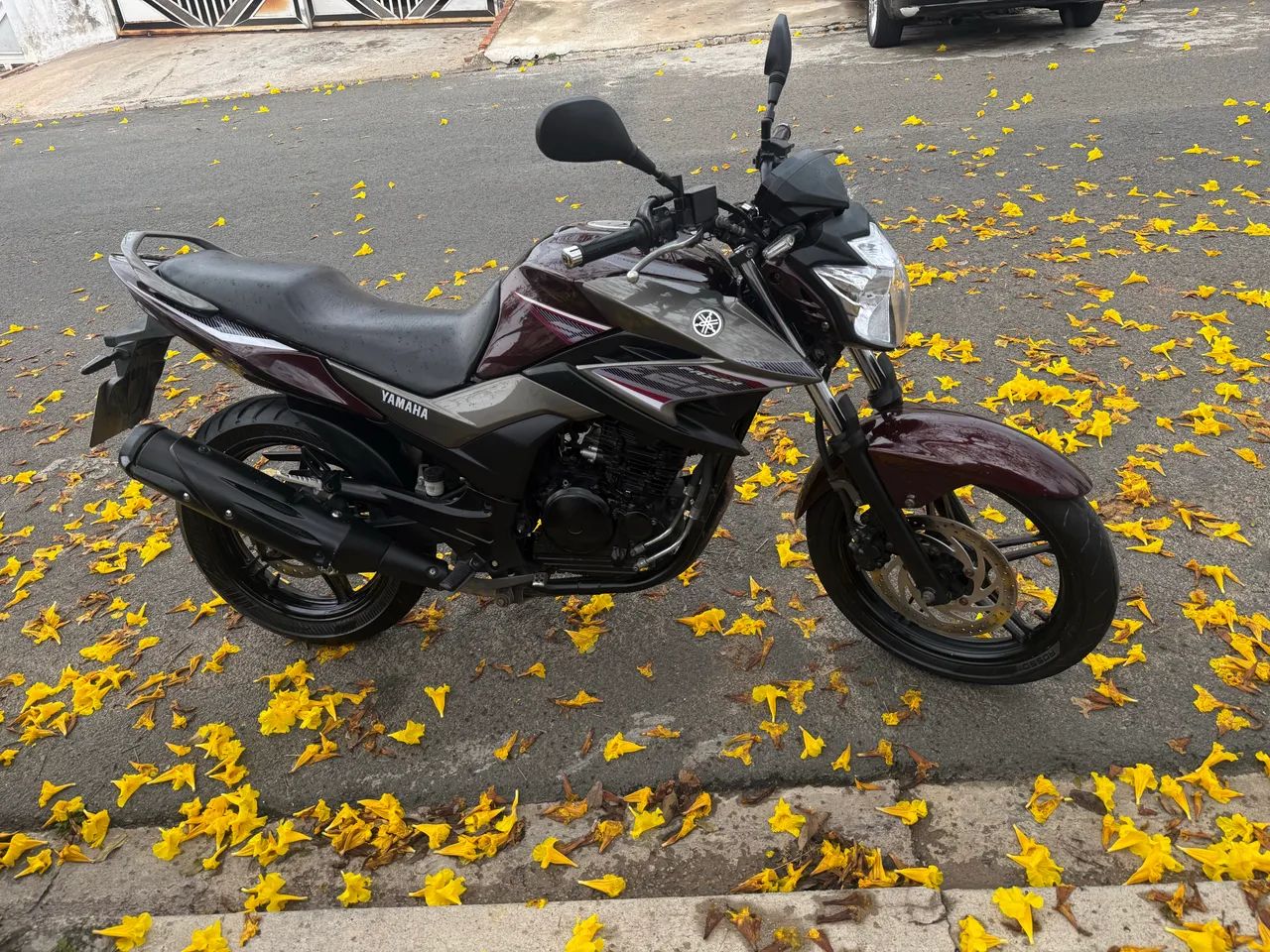 Vendo fazer 250 blueflex 2017  - Foto 4