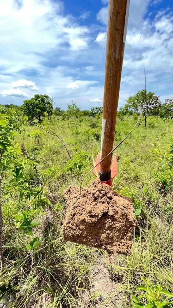 Fazenda em Plano Diretor Sul - Palmas - Foto 4
