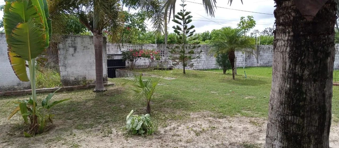Chácara para alugar ou vender - Foto 5