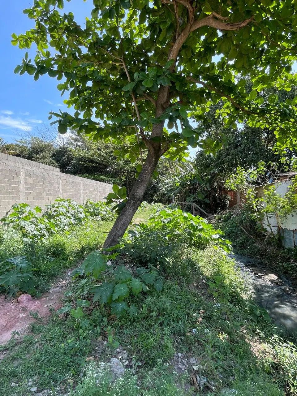 Terreno em Morada da Barra - Foto 2