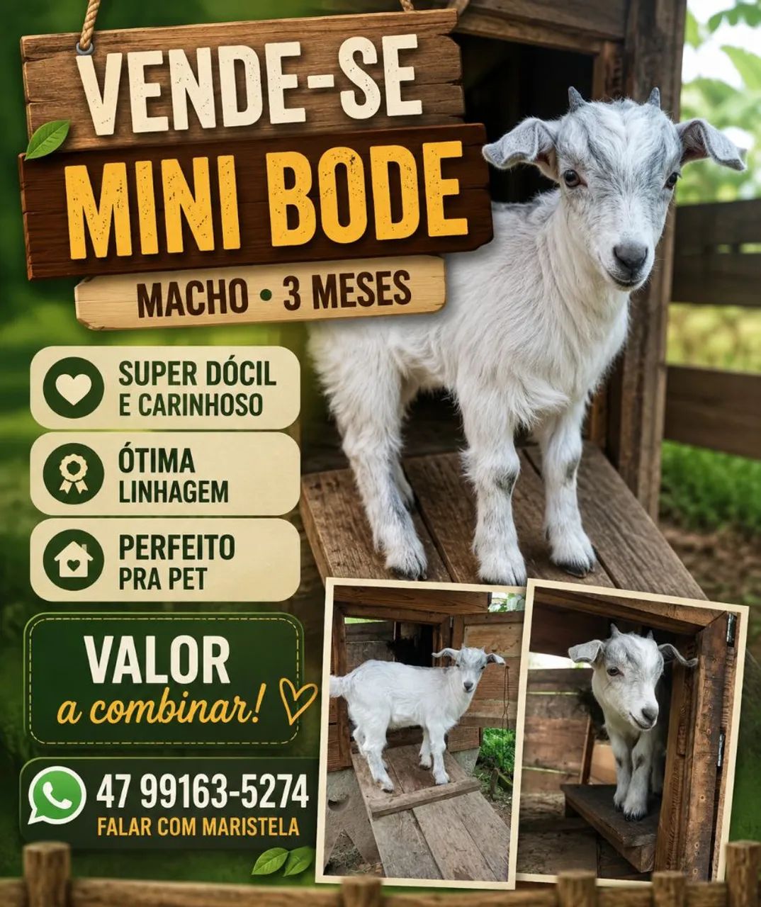 Vende -se