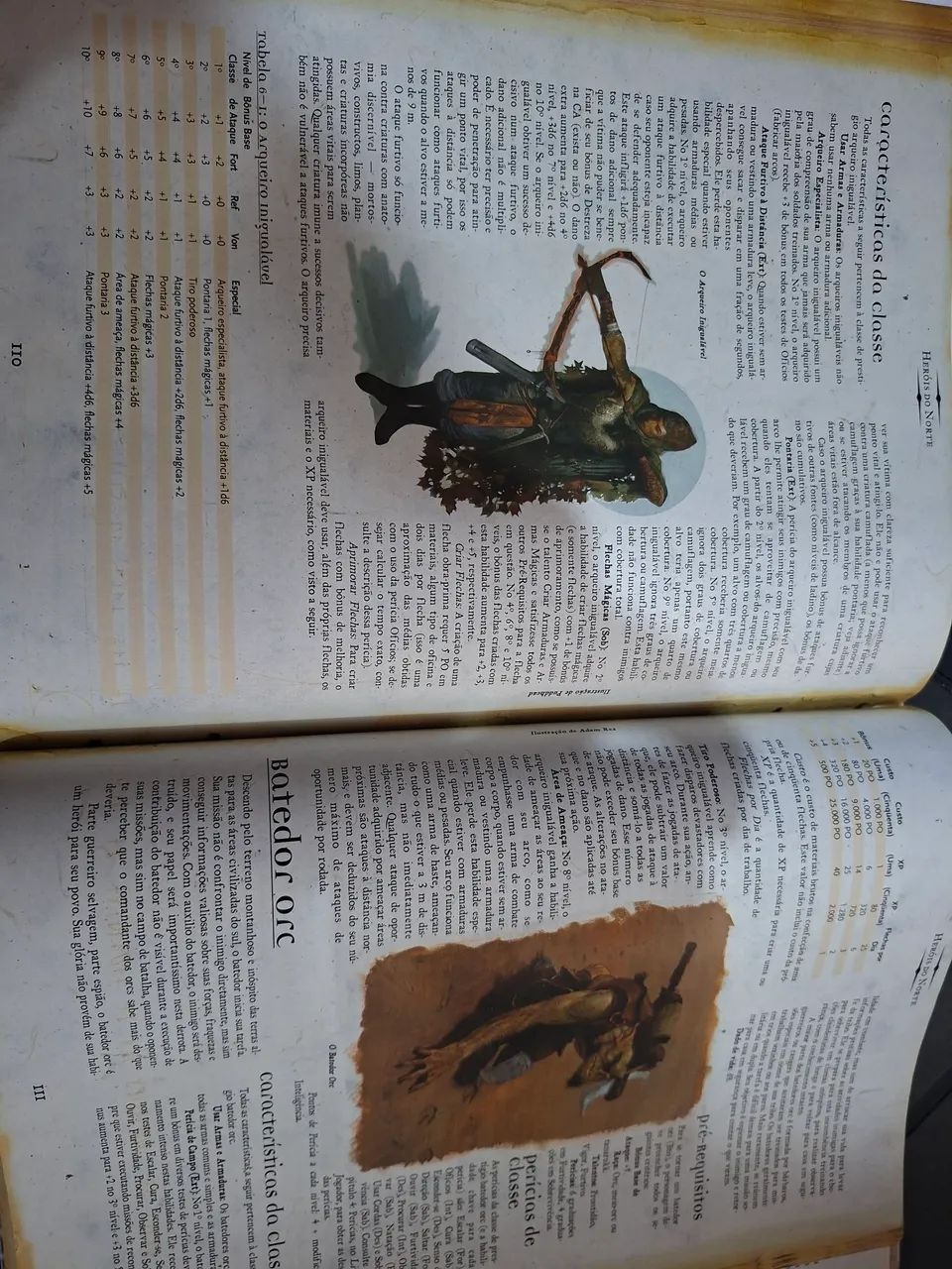 Fronteiras Prateadas - Forgotten Realms - Foto 2