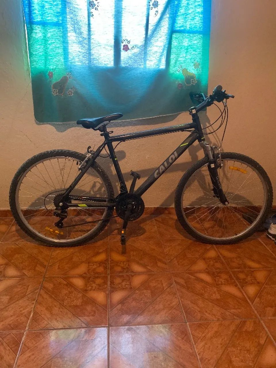 Bicicleta 