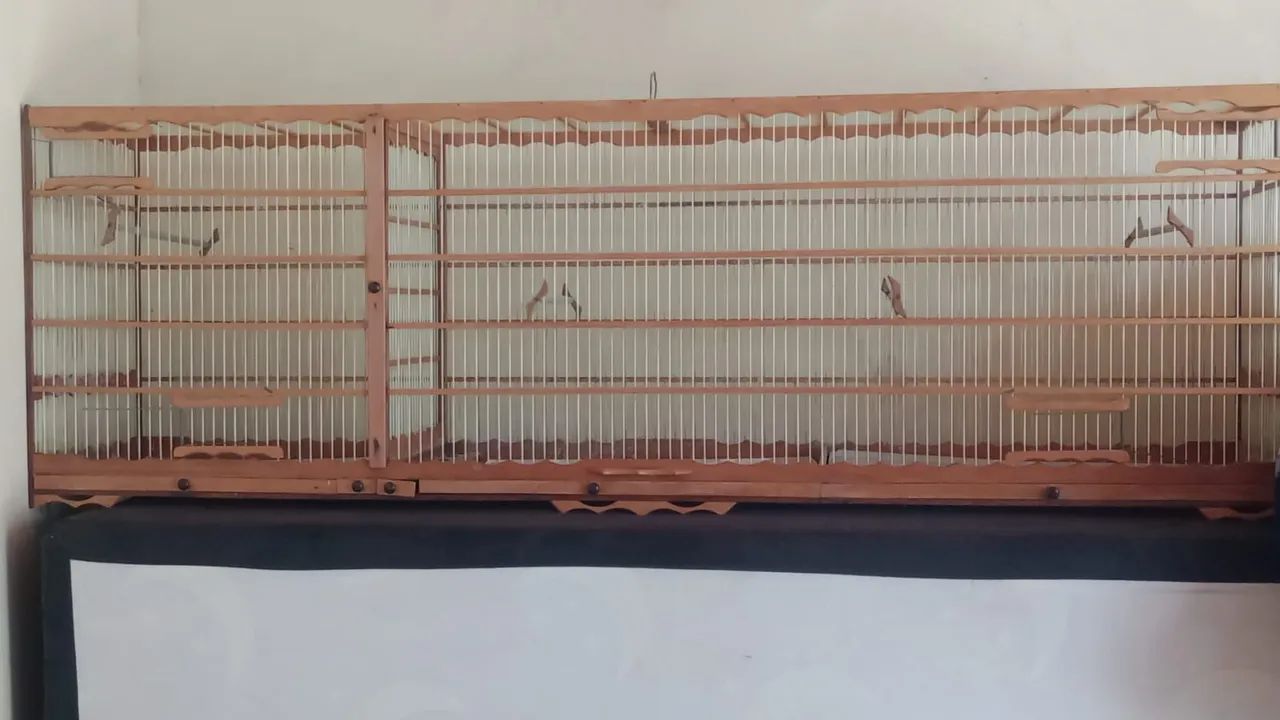 Gaiola voadeira 