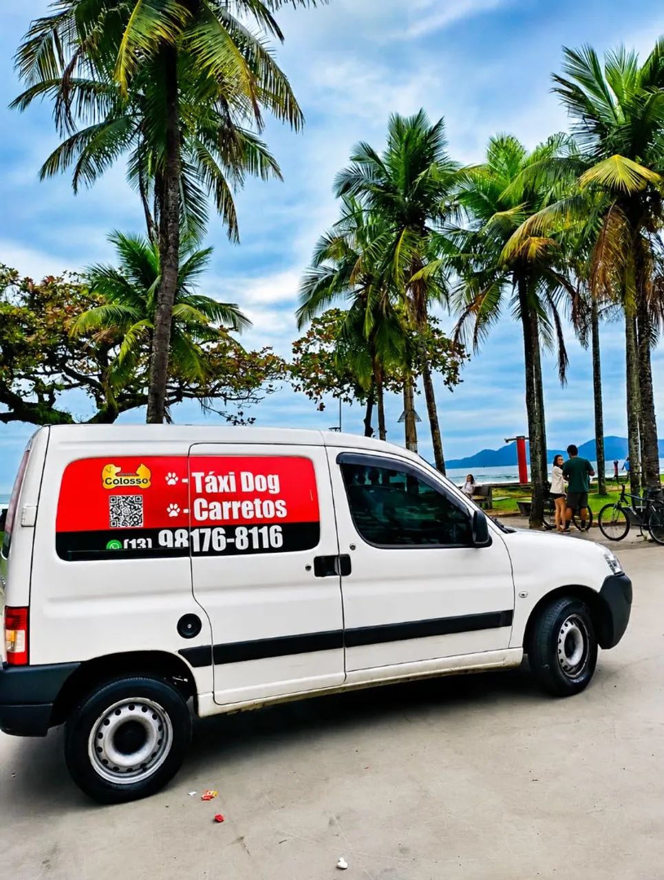 Táxi dog e pequenos carretos 