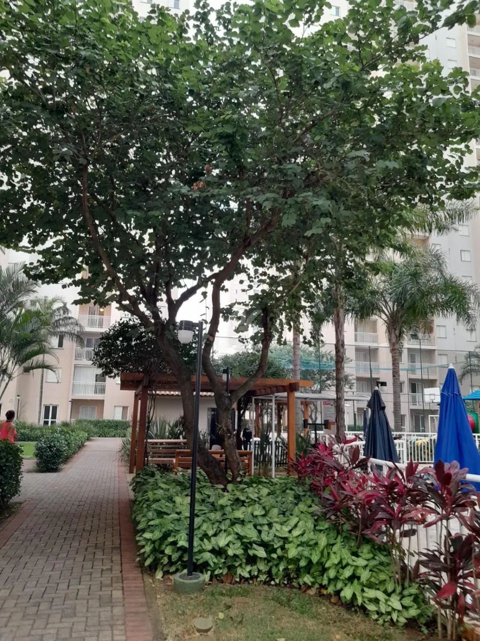 apartamento - Vila Progresso - Campinas - Foto 8