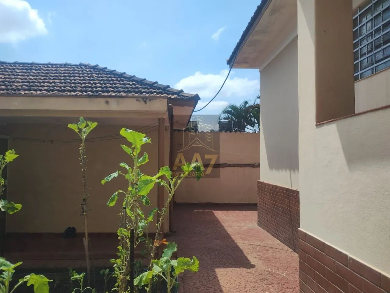 CASA TERREA 350M² NA VILA SONIA - Foto 2