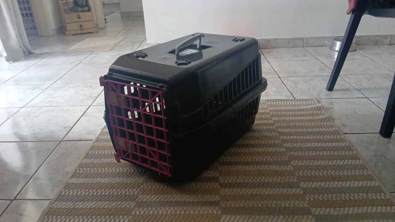 Caixa para transpirte de animais - Foto 3