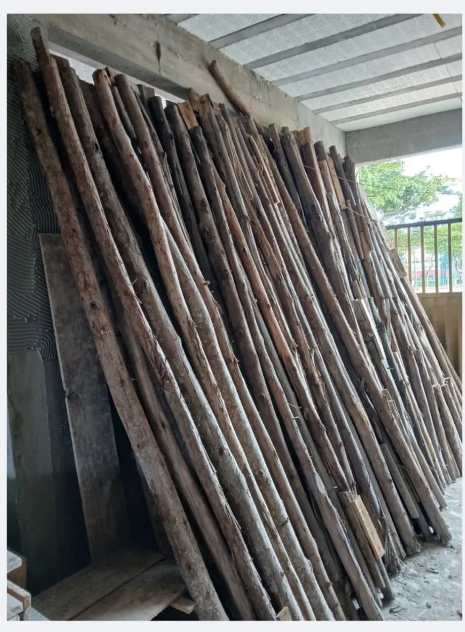 Escoras de eucalipto 