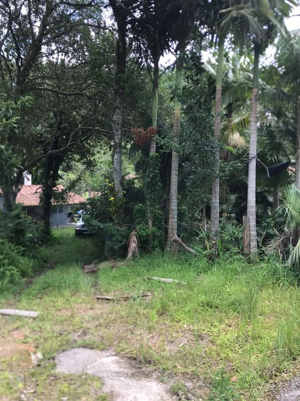 IMÓVEL+TERRENO 6000M2 - Foto 4