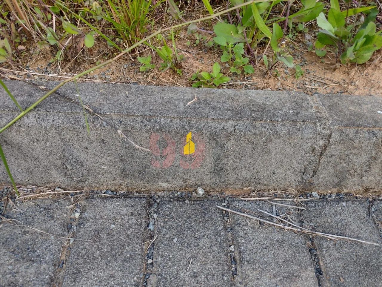 Terreno em Rodeio - Foto 3