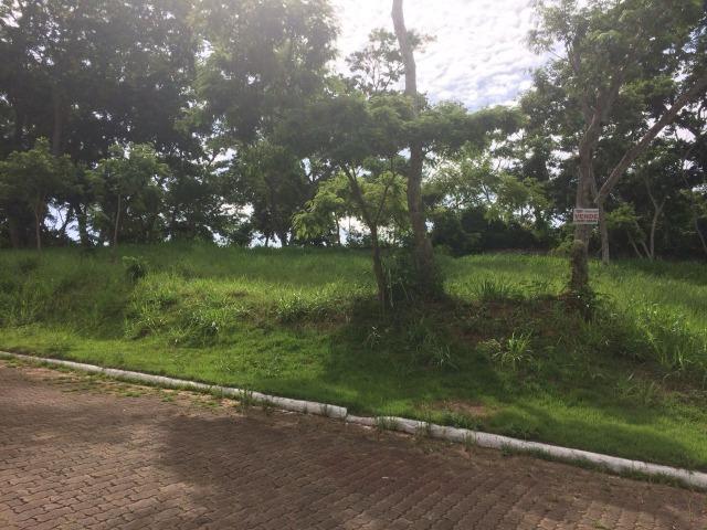 Condomínio Vale dos Ipes - Excelente Terreno (Parte Alta) - Foto 2