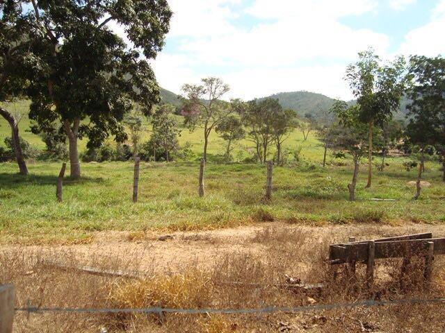 50 Alq. Beira Rio | 120 km Goiânia. (leia o anuncio) - Foto 13