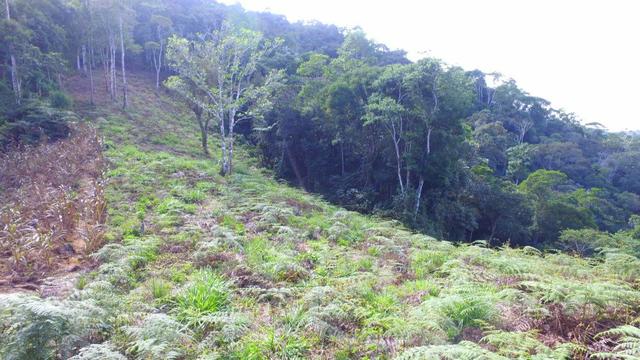 Chácara em Marechal Floriano - Foto 5