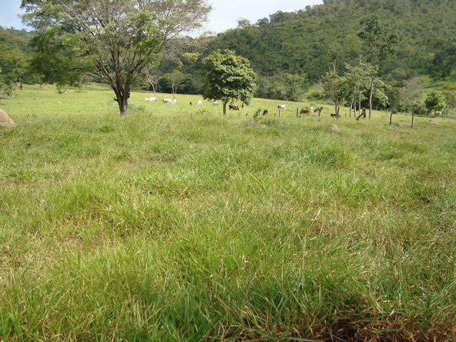 50 Alq. Beira Rio | 120 km Goiânia. (leia o anuncio) - Foto 8
