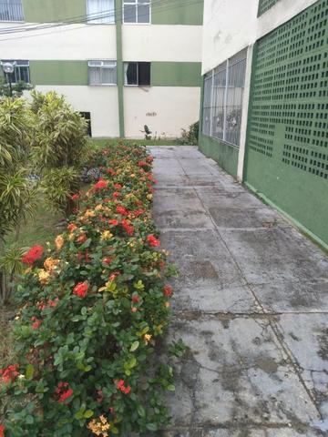 Apartamento 3 qtos, reformado, 60 m2 Portuguesa, Imperdível! - Foto 10