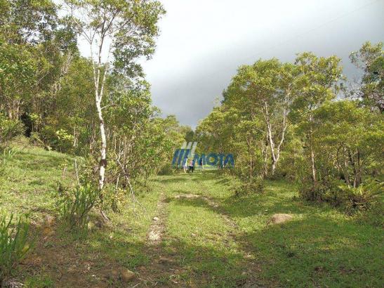 Sítio à venda, 354712 m² por r$ 250.000,00 - miringuava - são josé dos pinhais/pr - Foto 20