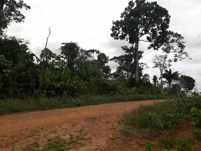 Vendo ou troco em carro 2 alqueires de terra - Foto 2