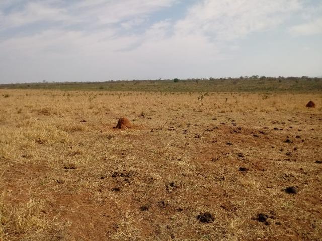 Fazenda Com 1.100 hectares Lago do Manso - Foto 16