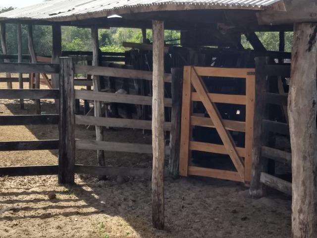 Fazenda Com 1.100 hectares Lago do Manso - Foto 13