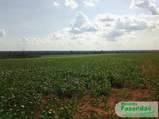 Fazenda 730 Há 480 Há Plantando Soja/Milho Entrada + 09 Pagamentos Norte MT - Foto 4