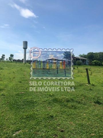 Exelente Fazenda no Municipio De Cuiabá - Foto 11
