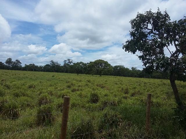 3 alqueires em São Miguel do Passa Quatro - Foto 10