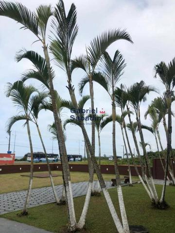 Apartamento Residencial / Áreas de Condomínios - Foto 13