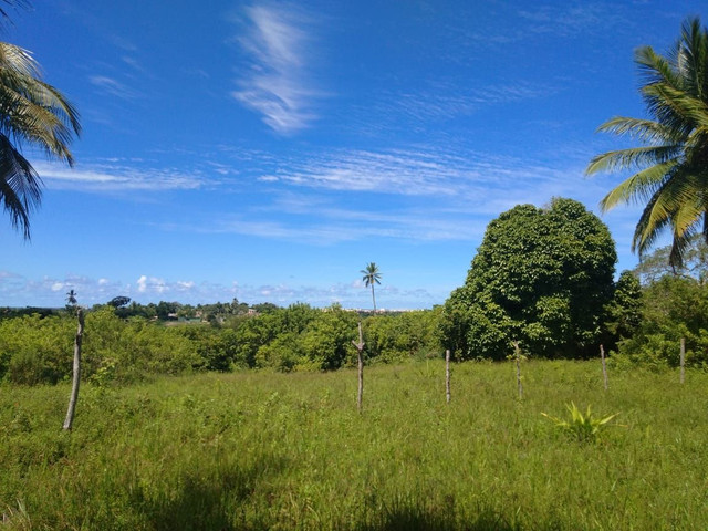 Sítio em Abrantes - Foto 3
