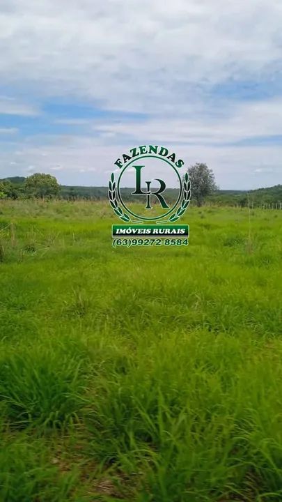 Fazenda 35 Alqueires Dupla Aptidão - Foto 4