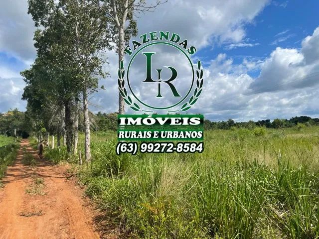Chácara 1.5 alqueires Próximo a Araguaina Tocantins - Foto 3