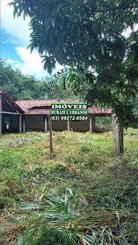 Chácara 1.5 alqueires Próximo a Araguaina Tocantins - Foto 5