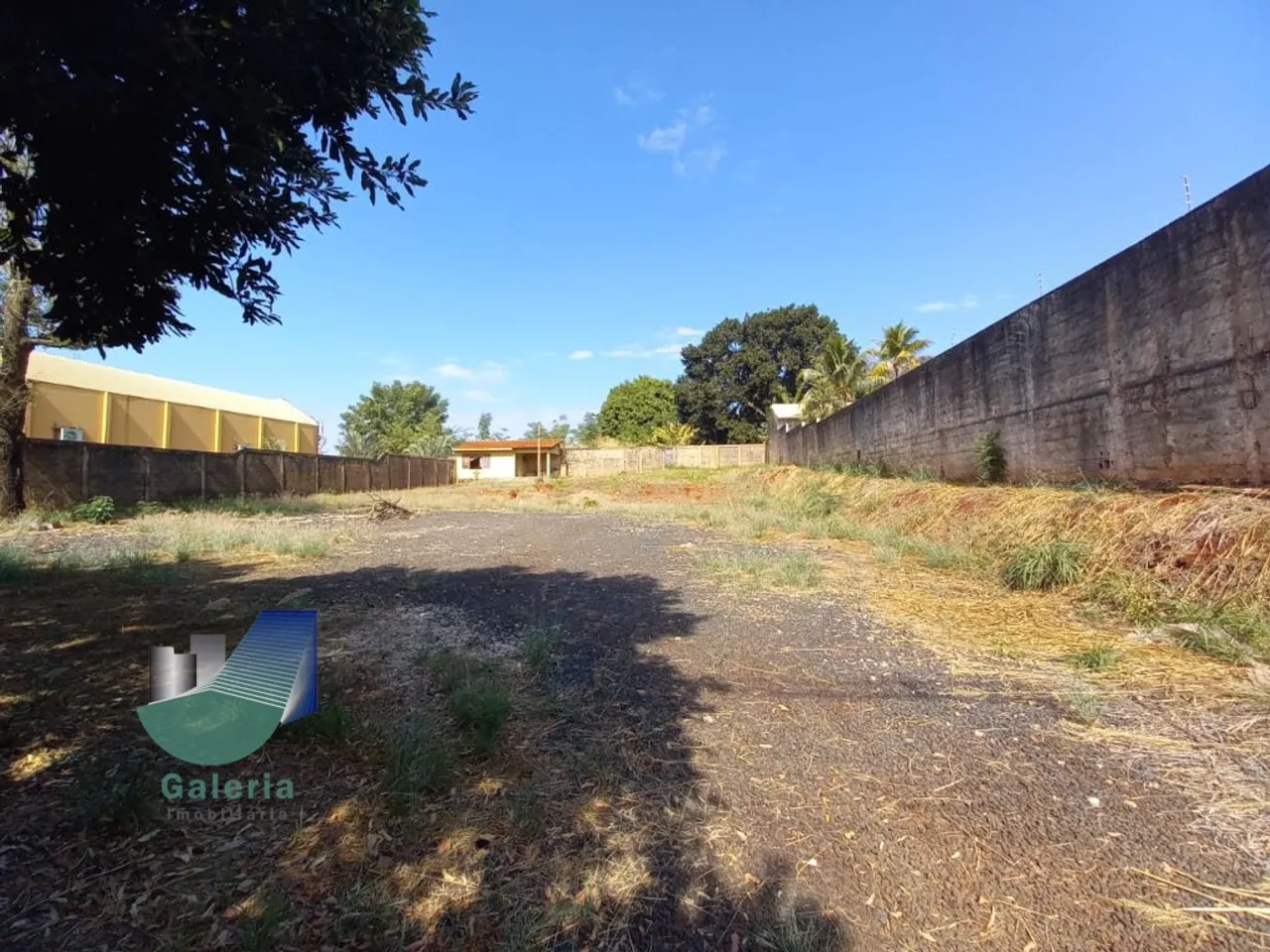 Terreno para alugar, 1500m² - City Ribeirão