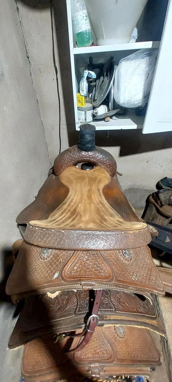 SELA NOGUEIRA(2020) - Foto 3