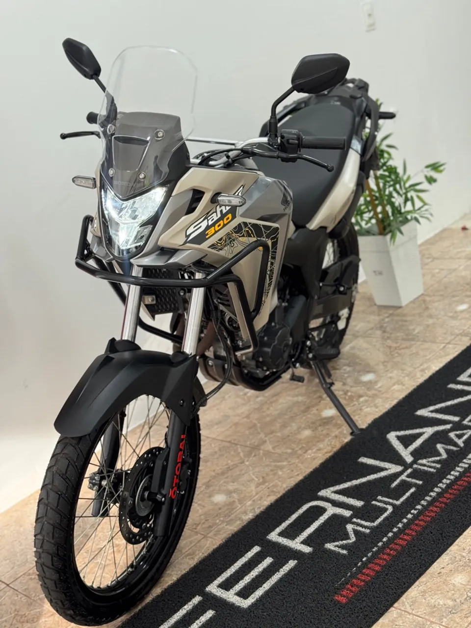 Sahara 2025