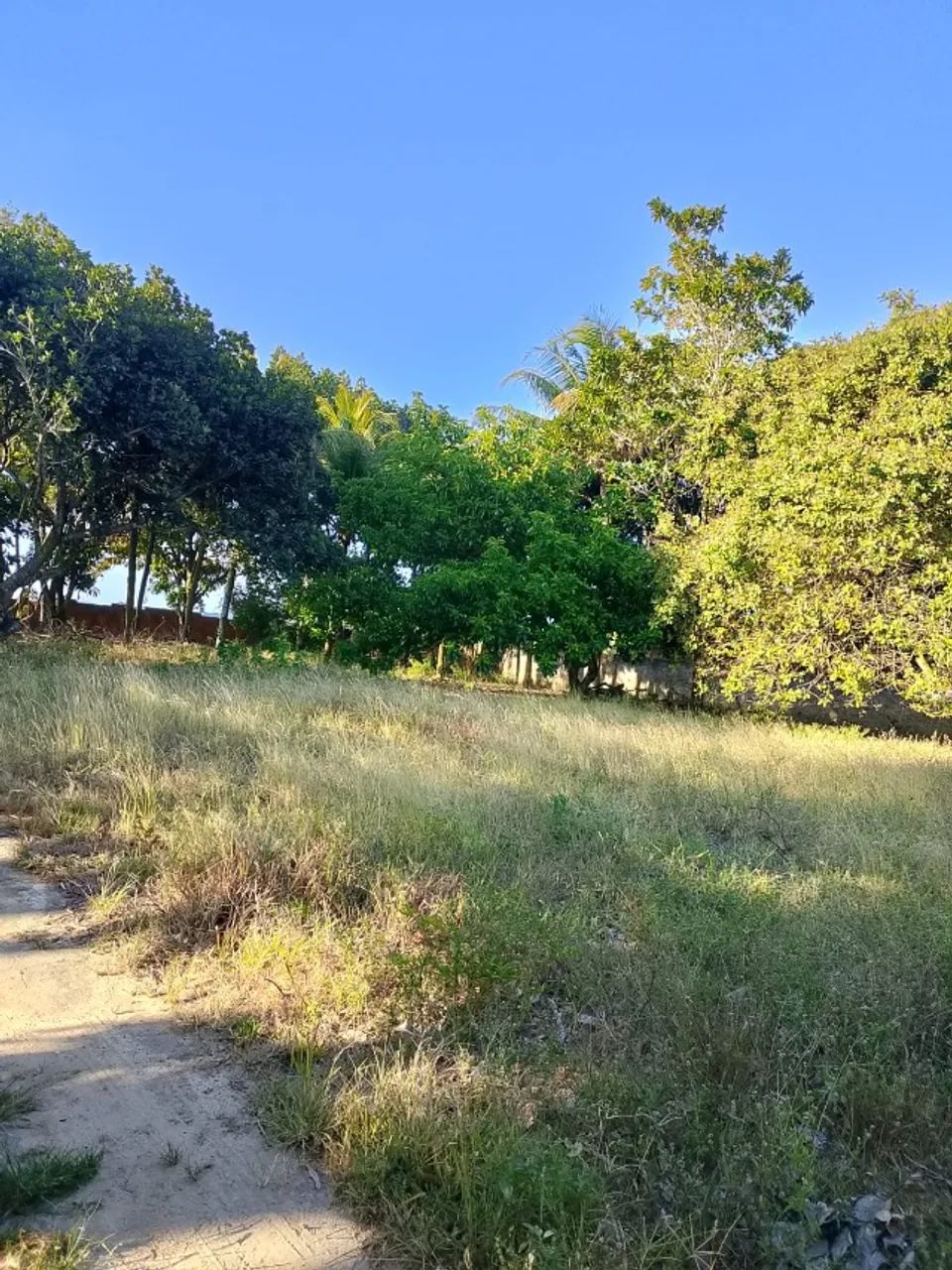 Foto - Recife - Boa Viagem