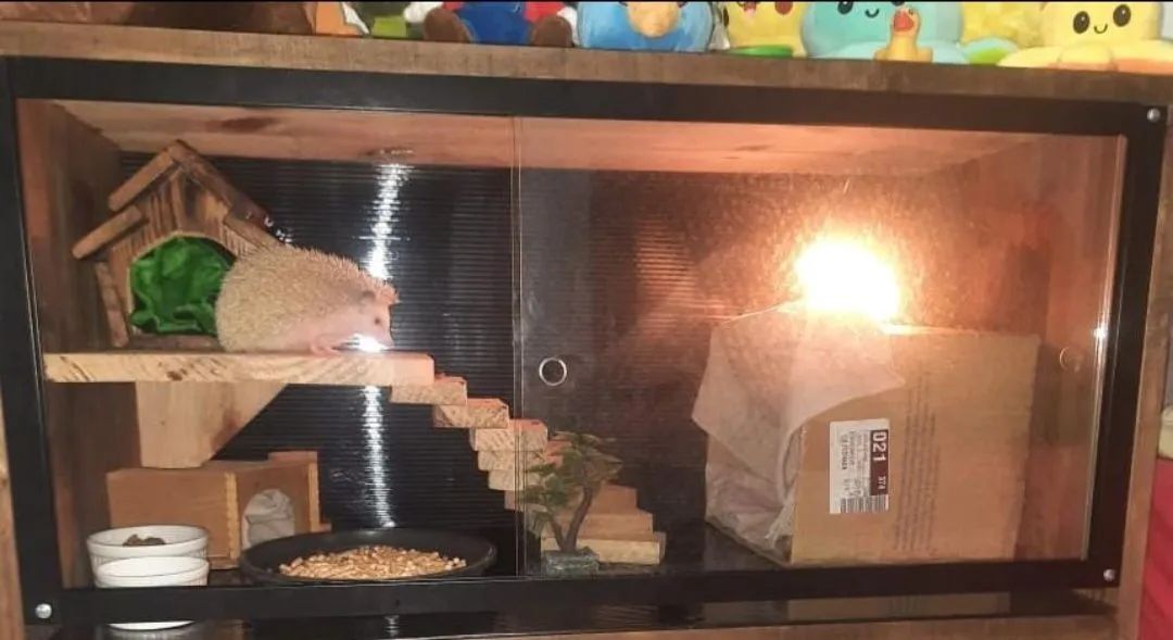 Vendo viveiro  - Foto 2