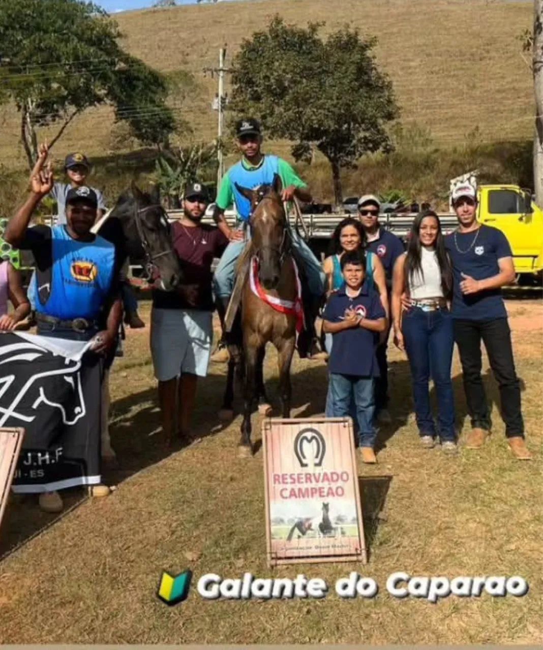 Cavalo Marcha Picada Genuína  - Foto 4