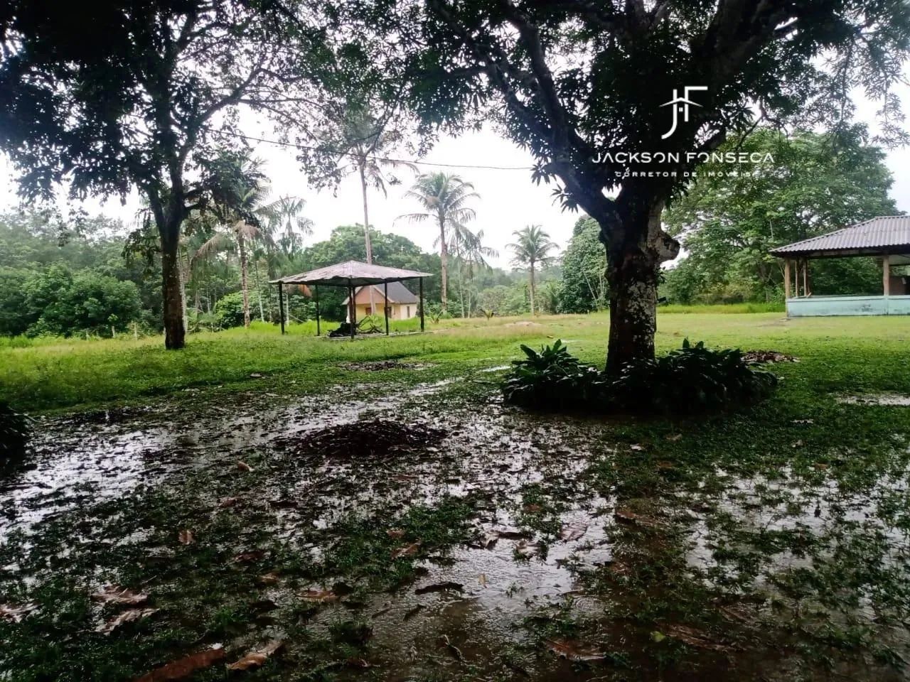 VENDE-SE SÍTIO NA BR-174 KM 17  ÓTIMA LOCALIZAÇÃO - Foto 3