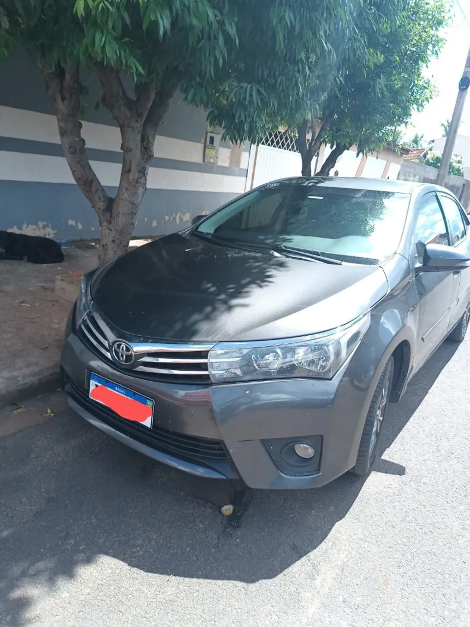 Corolla super novo