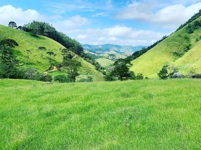 Foto - São José dos Campos - Jardim das Indústrias