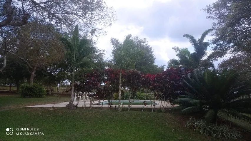 FAZENDA EM SÃO GONÇALO - 50 TAREFAS - Foto 12