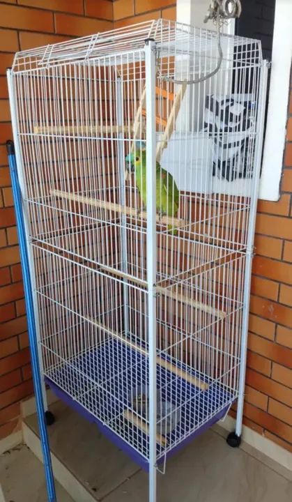 Viveiro para Pássaros Grande  - Foto 2